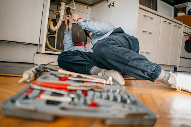 Best Plumbing Services Near Me  in Kurtistown, HI